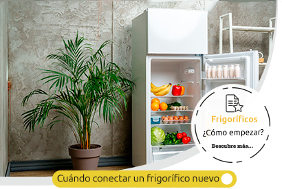 cuando conectar u frigorifico nuevo
