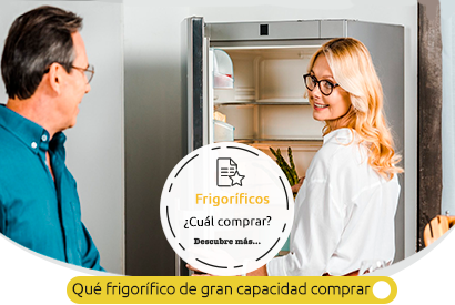 que frigorific de gran capacidad es mejor